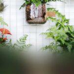 Jardim vertical para apartamento: tutorial e as melhores plantas!